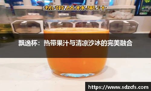 飘逸杯：热带果汁与清凉沙冰的完美融合